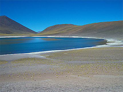 Lac dans le désert d'Atacama