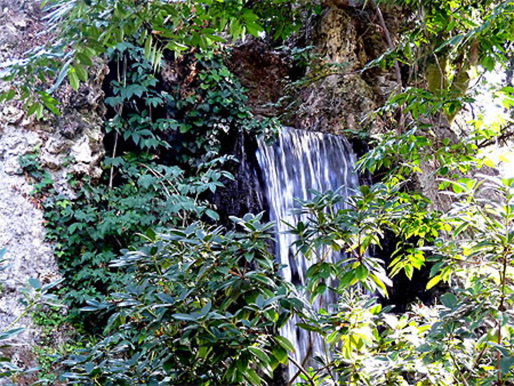 Jungle toulousaine