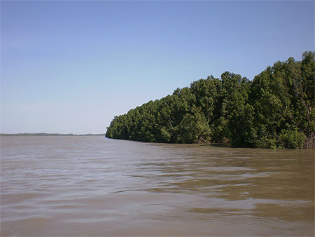 Fleuve Gambie à Farafenni Fleuve Gambie à Farafenni