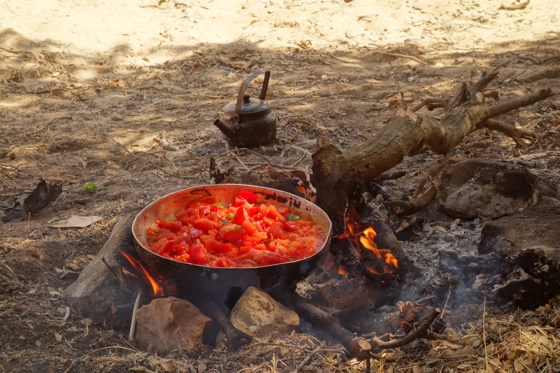 Feu de bois, thé et gallayeh, à Dana, Jordanie Feu de bois, thé et gallayeh, à Dana, Jordanie