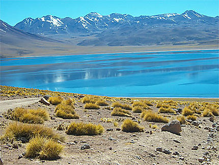 Au salar d'Atacama