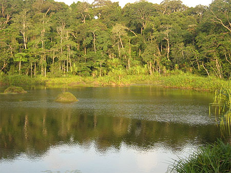 Lac Lac