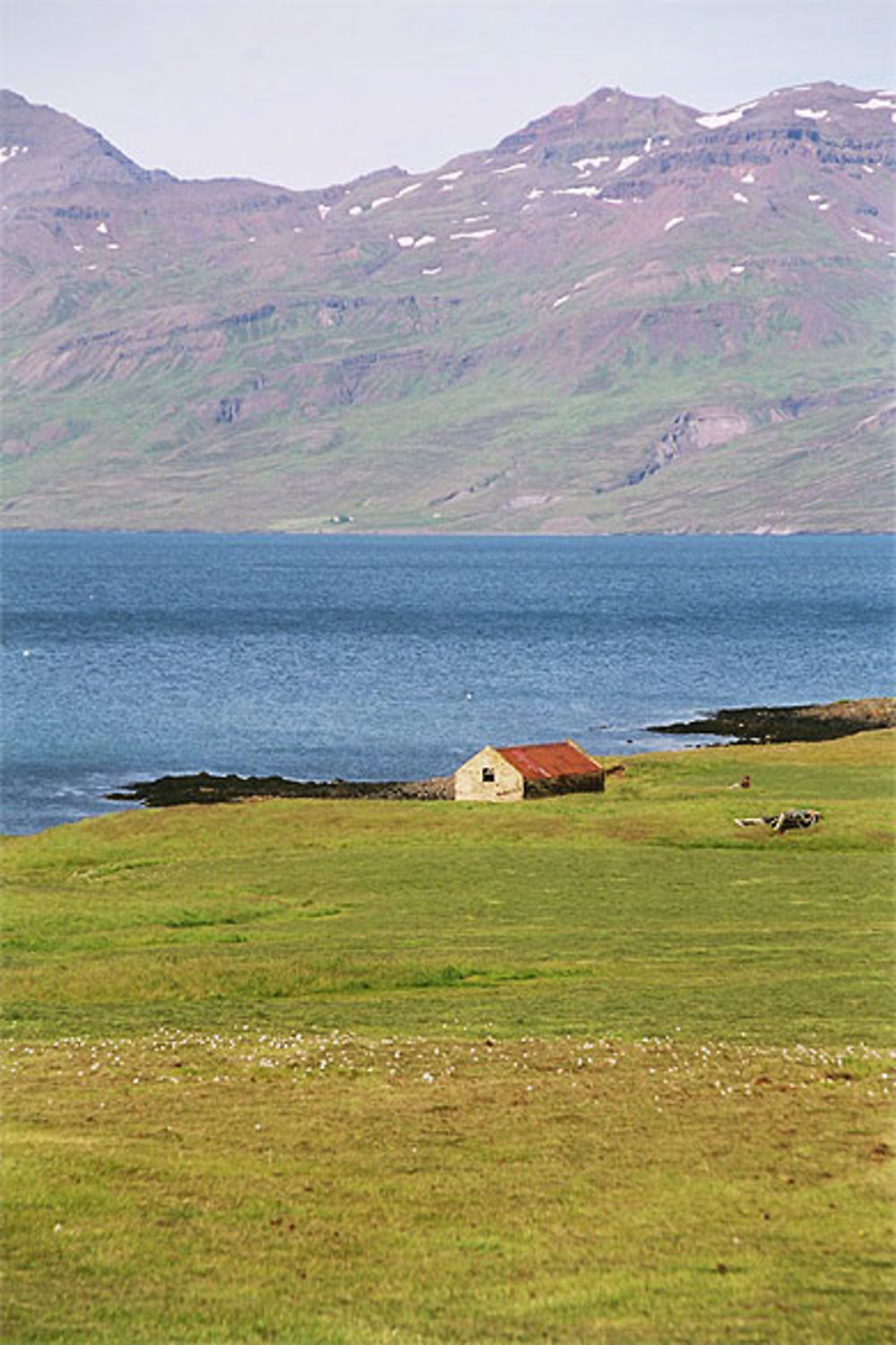 Reydarfjördur