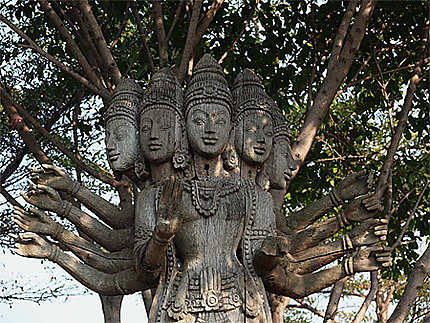 Des têtes bouddhas sur l'arbre