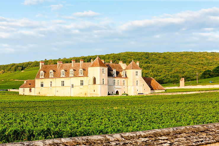 Mise en bouche : la Bourgogne du vin, un patrimoine mondial