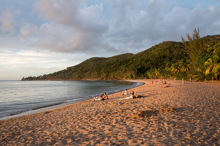 Grande Anse, Anse de la Perle… les plus belles plages de Basse Terre