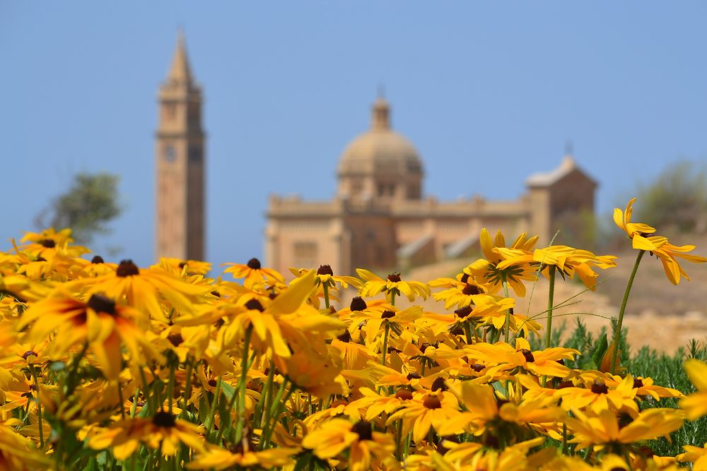 Basilique de Ta'Pinu