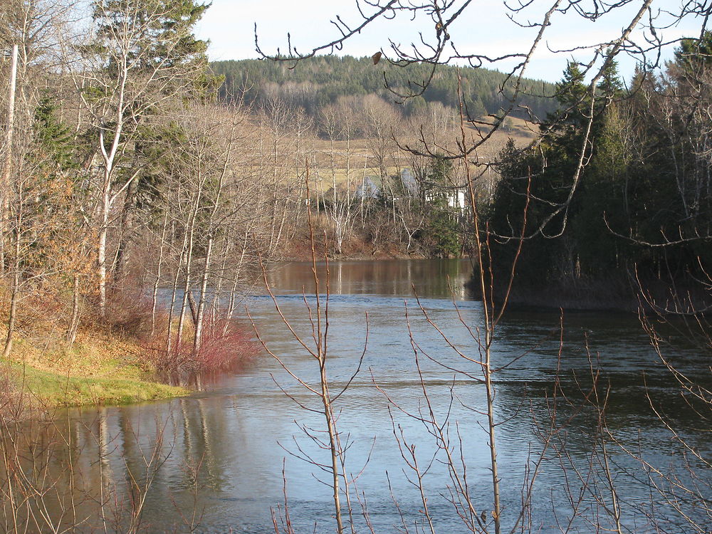 Rivière Matapédia à Amqui