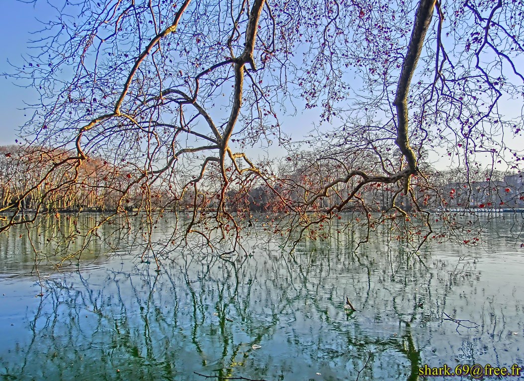 Découverte des sculptures du parc de la Tête d'Or de Lyon