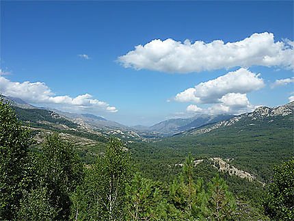 Sur la route de Calacuccia