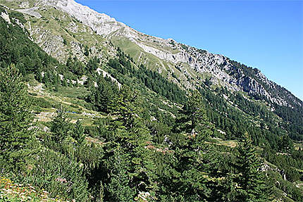 Beau parc national du Pirin