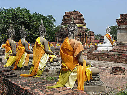 Des statues Bouddhas