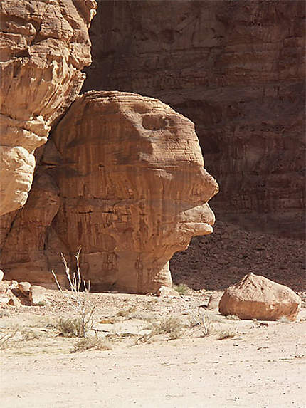 Wadi Rum : rencontre pétrifiée …!