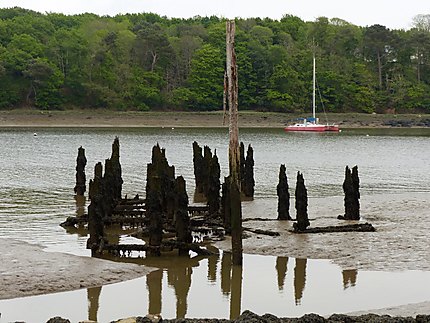 Ombres de bateaux 