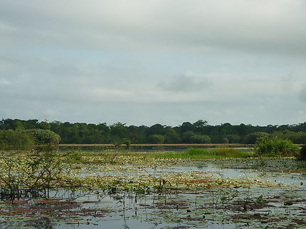 Nord du pays