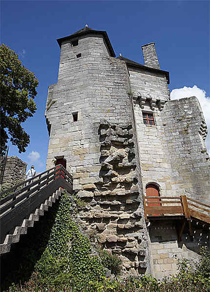 La tour du connétable, Vannes