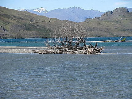Lac Wanaka
