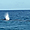 Souffle d'une baleine à bosse à Tahiti