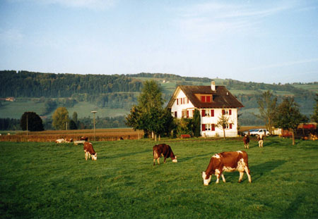 Le pays du lait Le pays du lait