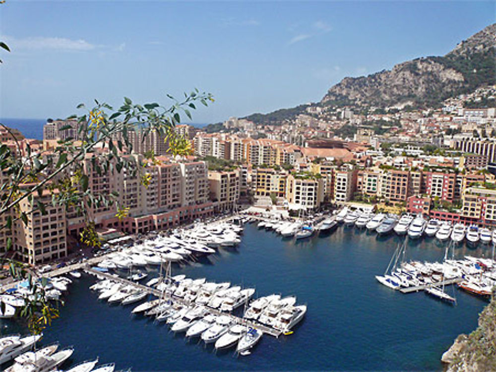 Le port de Monaco