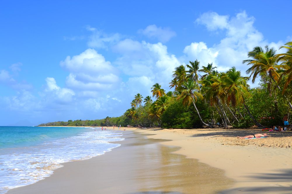 Plage de Martinique