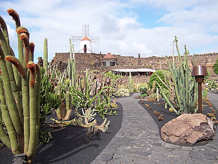 Jardin des cactus