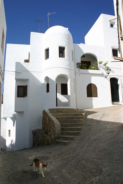 Maison blanche Maison blanche