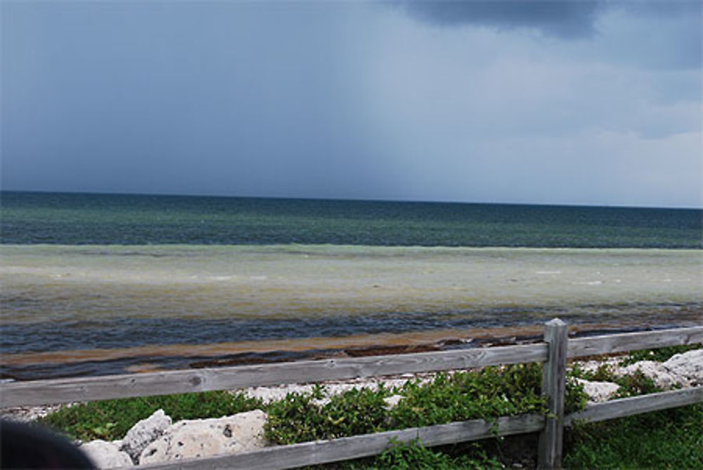 Couleurs de la mer