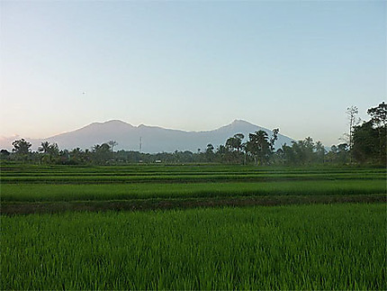 Tetebatu