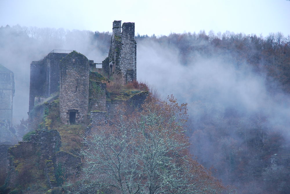 Les tours de Merle