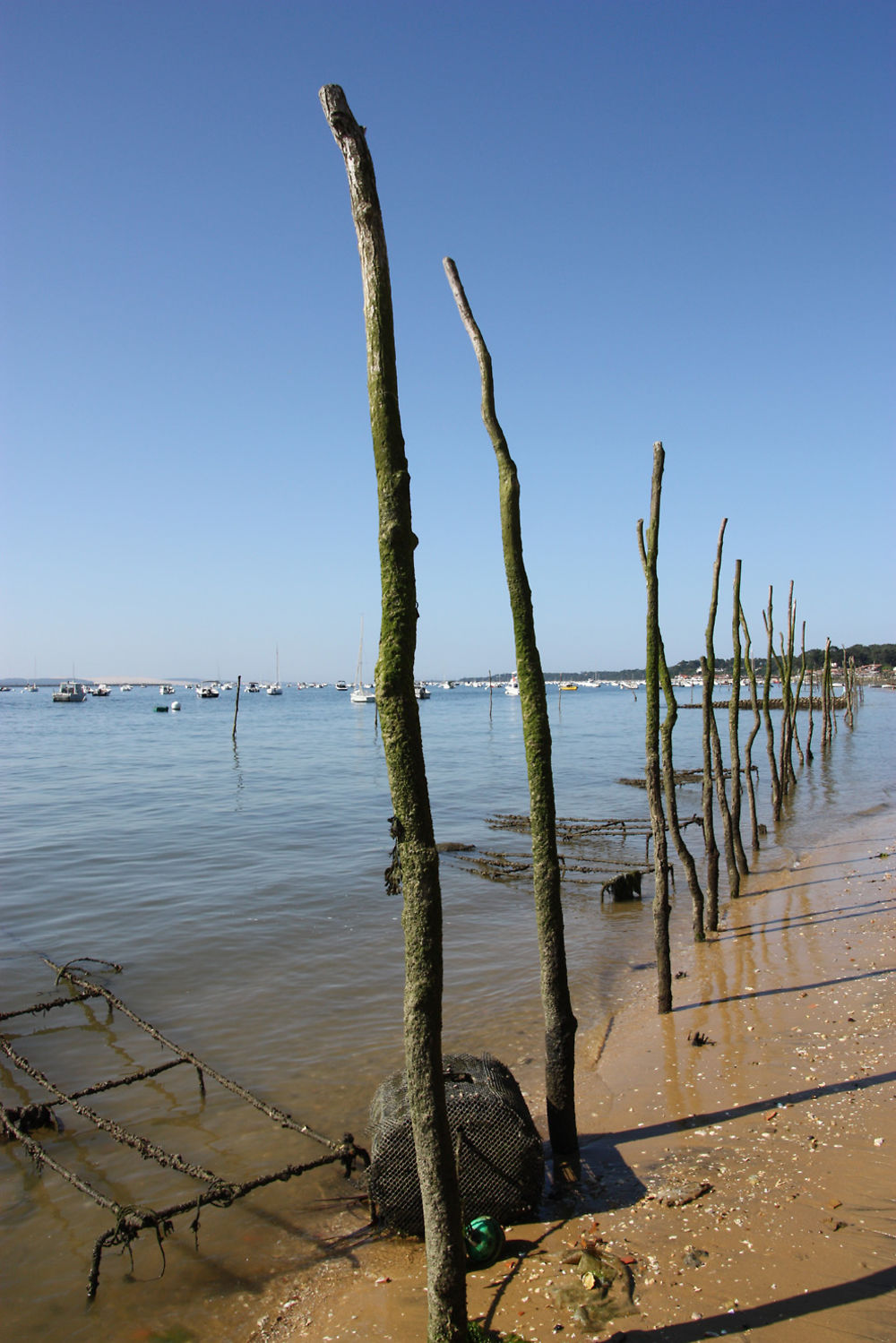 Parcs à huitres