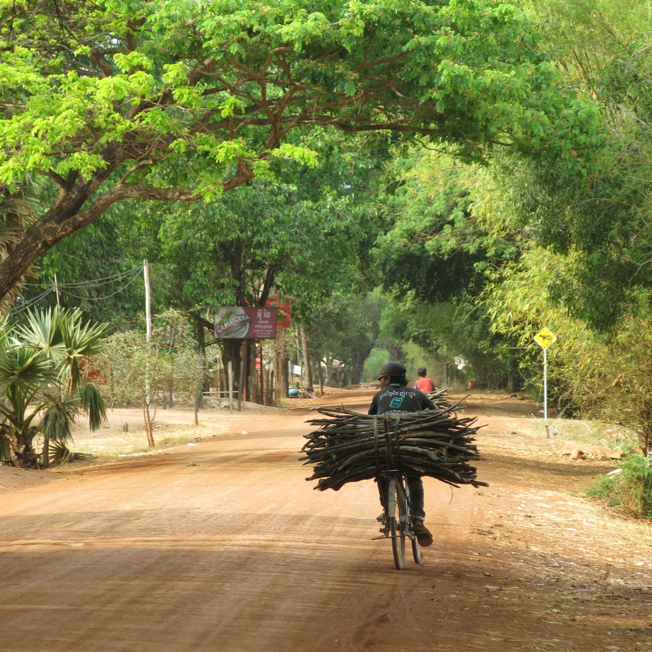 Transport en vélo à Siem Reap, Cambodge