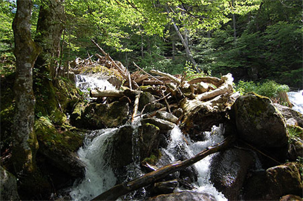 Pyrénées