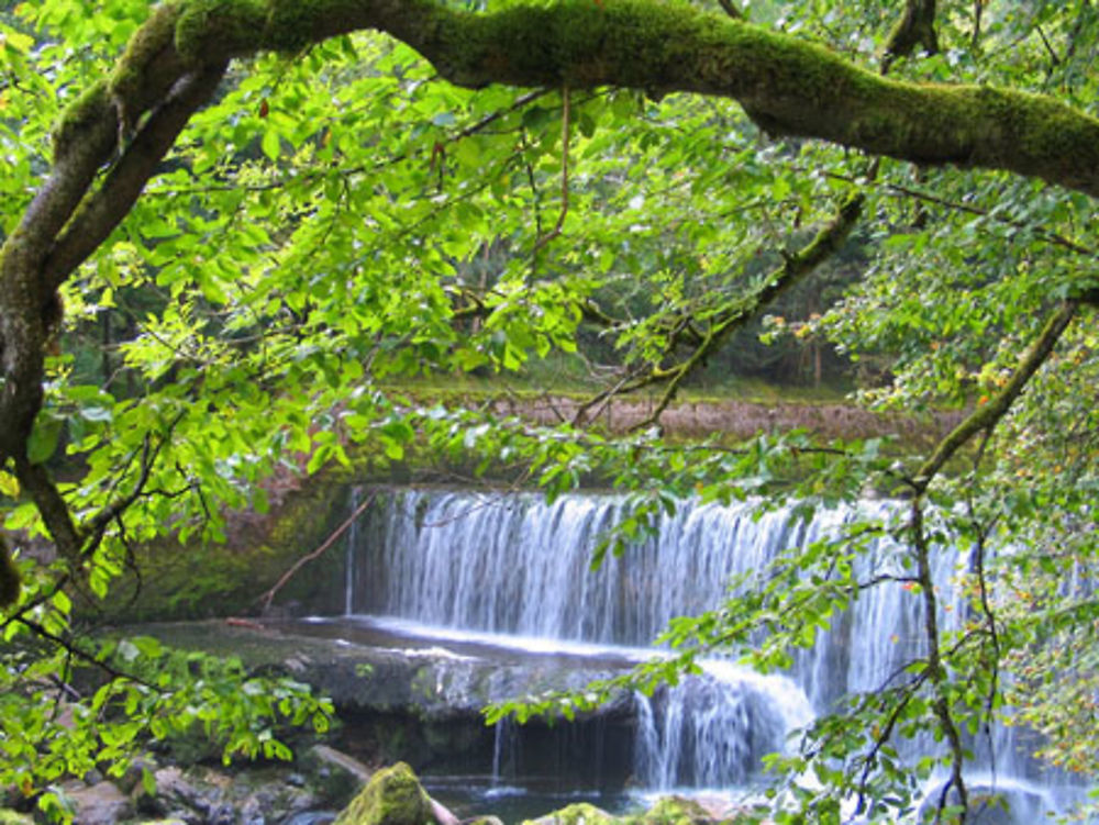 Gorge de l'Areuse