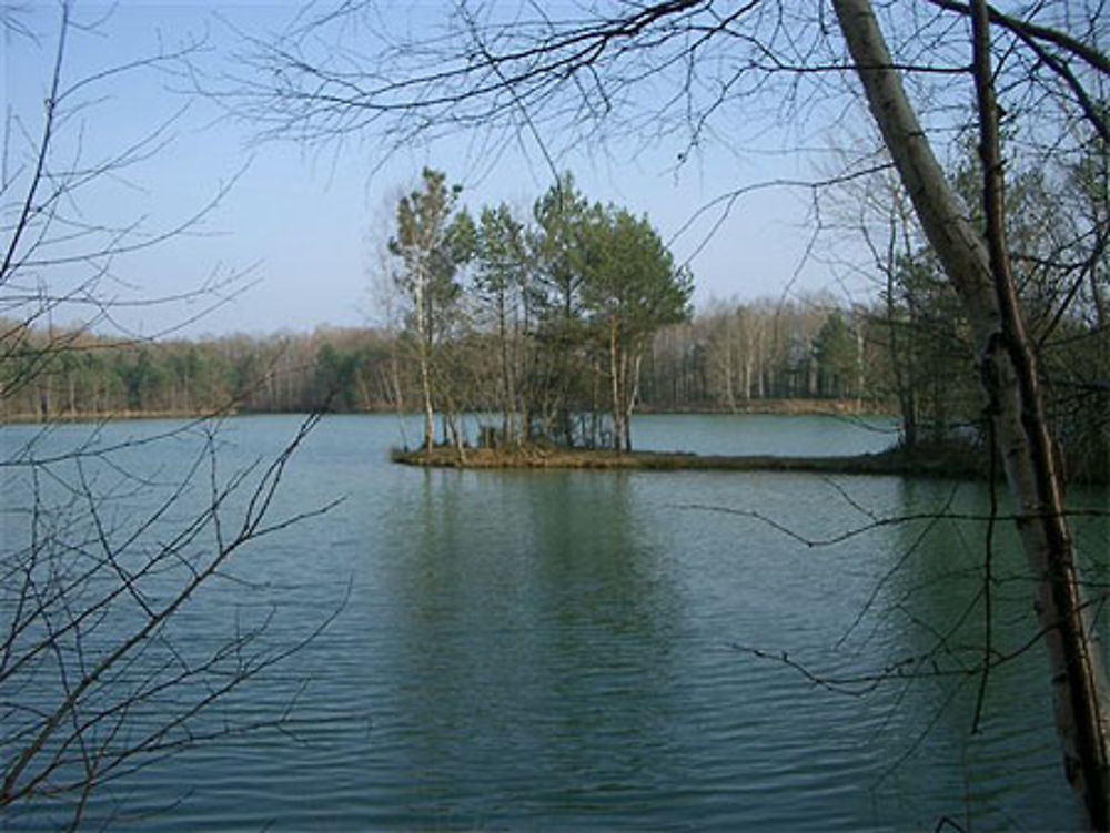 Promenade autour de l'étang