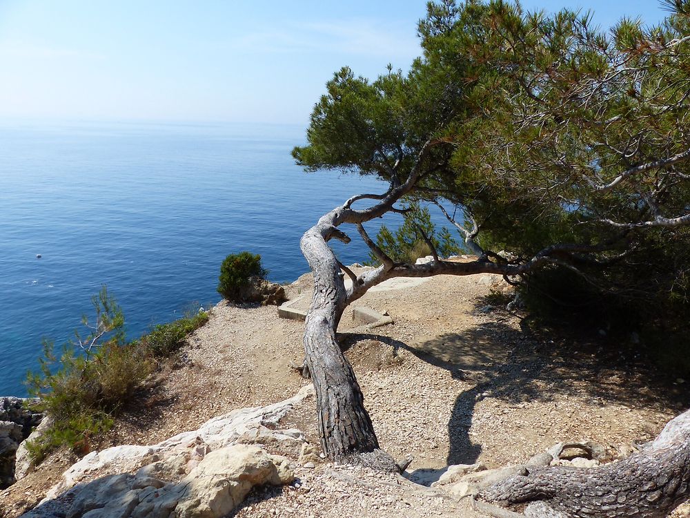 C'est l'azur  