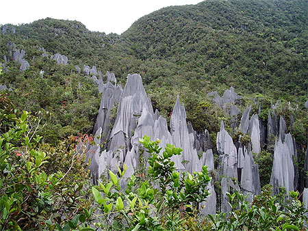 Les pinacles Les pinacles