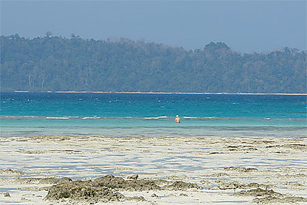 Paysage des îles Andaman