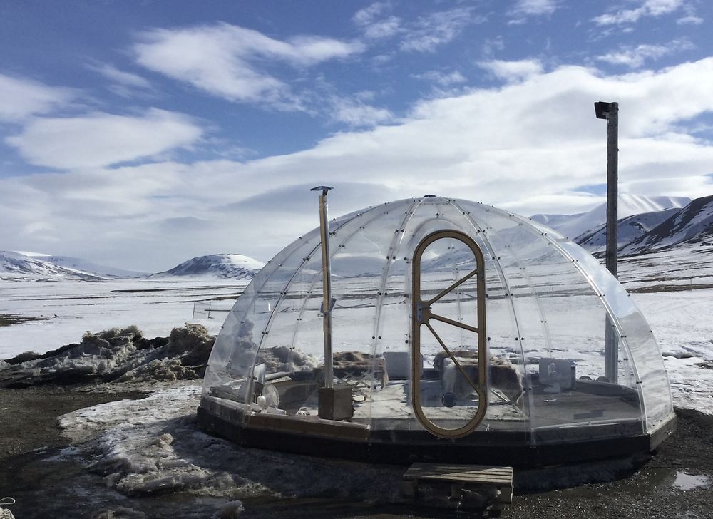 Dormir à la belle étoile au Svalbard