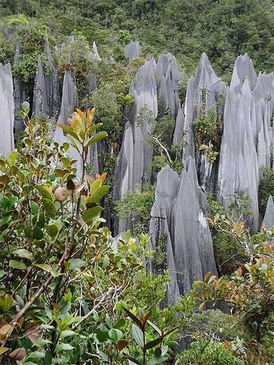 Les pinacles de Gunung Api Les pinacles de Gunung Api