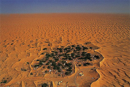 Oasis desert