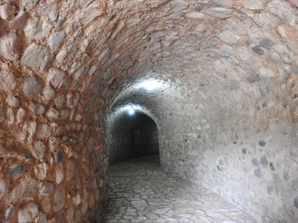 Copan - Musée de sculptures - entrée