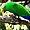 Bird World Kuranda - Perruche