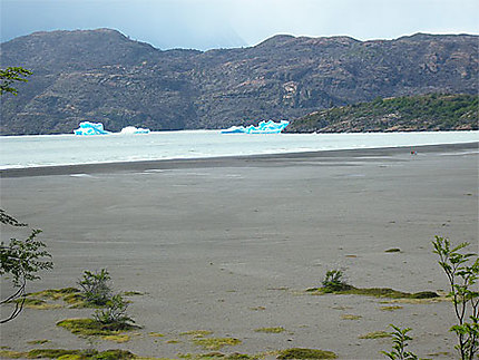 Iceberg provenant du Glacier Grey