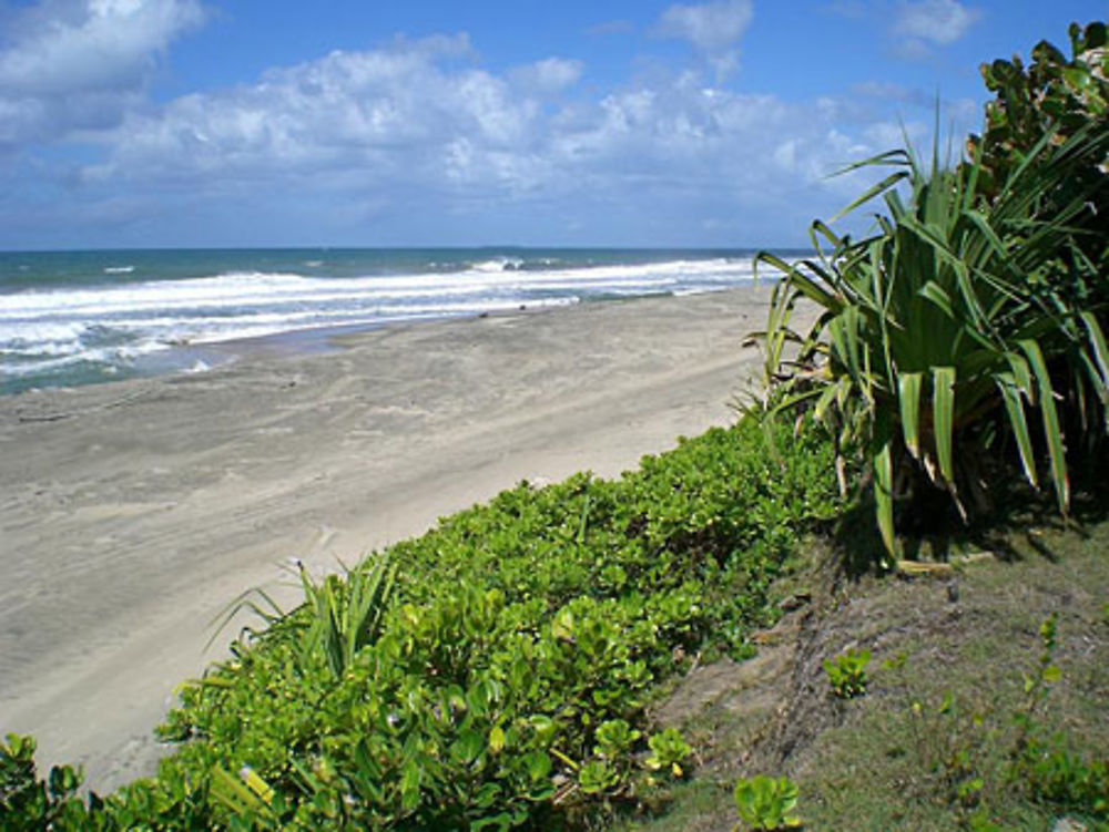 Plage entre Tamatave et Fénérive