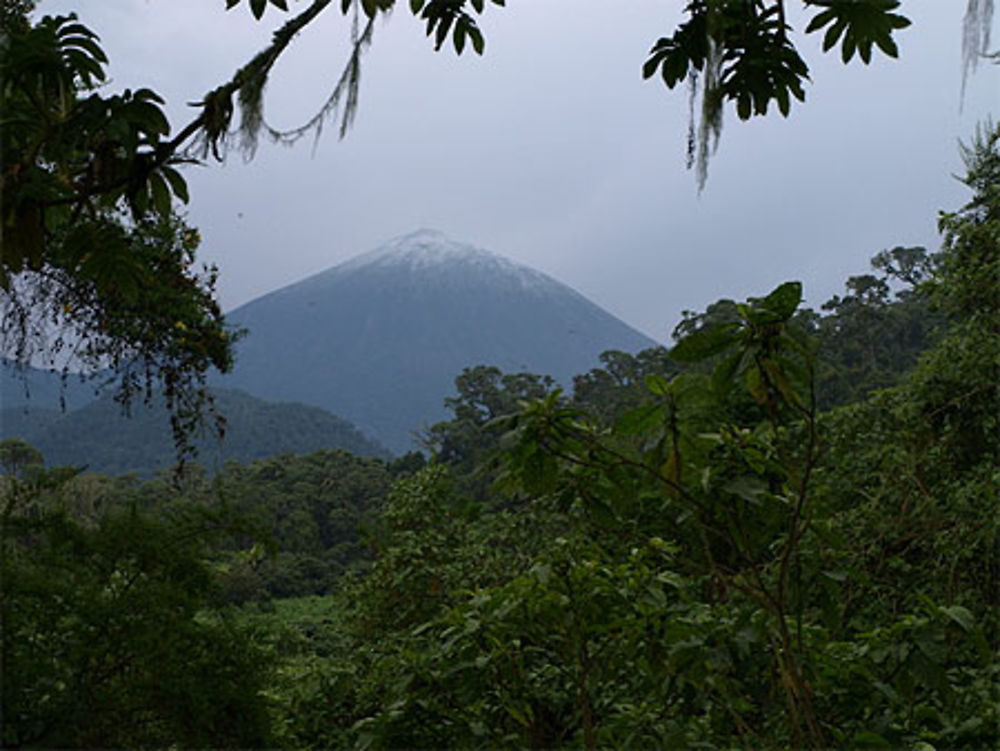 Le sommet enneigé du volcan Karisimbi 