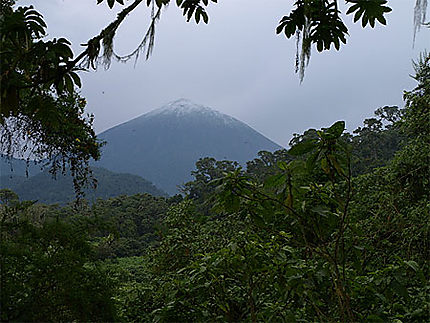 Le sommet enneigé du volcan Karisimbi 