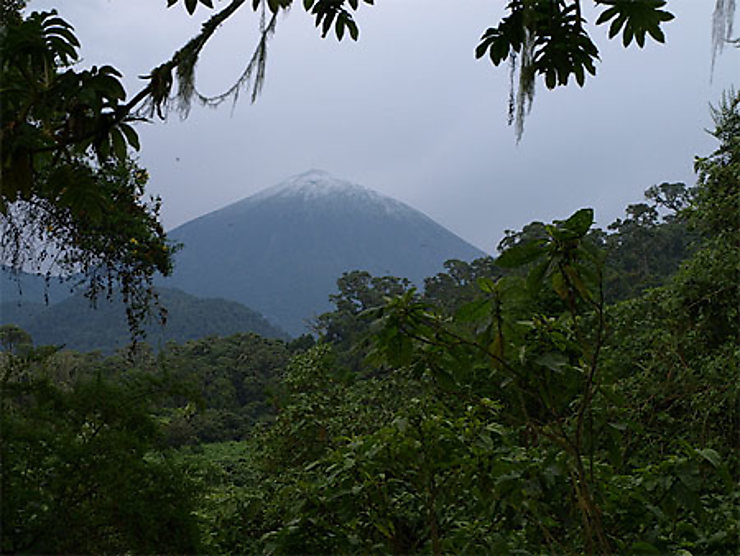 Volcan Karisimbi