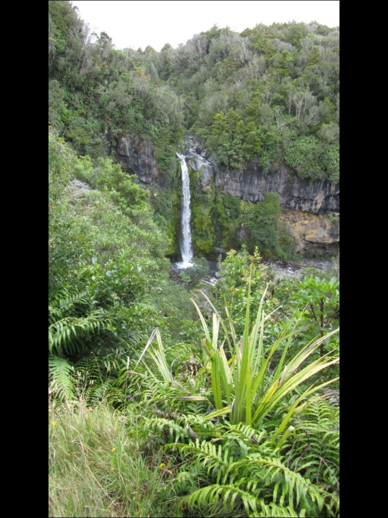 Dawson falls Dawson falls