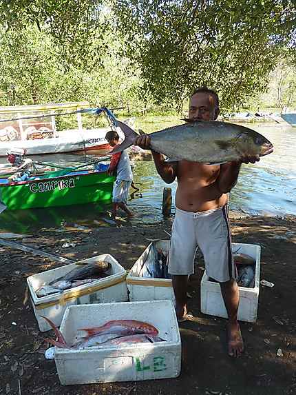 Retour de pêche à Sumbawa Besar